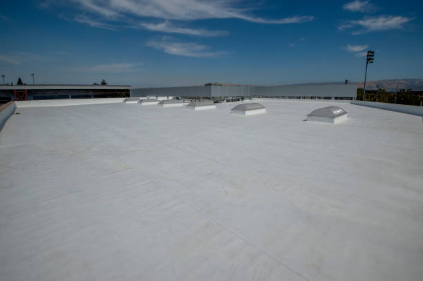 Best Commercial Roofing Services  in Grass Lake, MI