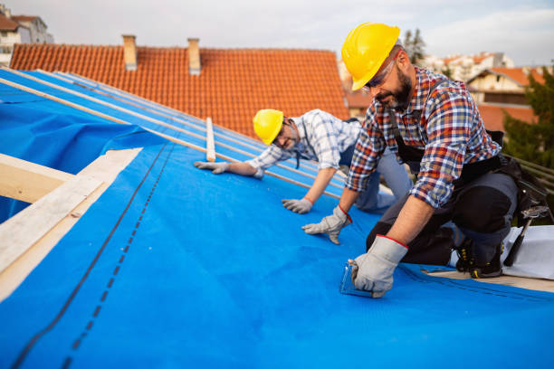 Best Roof Insulation Installation  in Grass Lake, MI