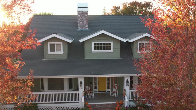 Best Sheet Metal Roofing  in Grass Lake, MI