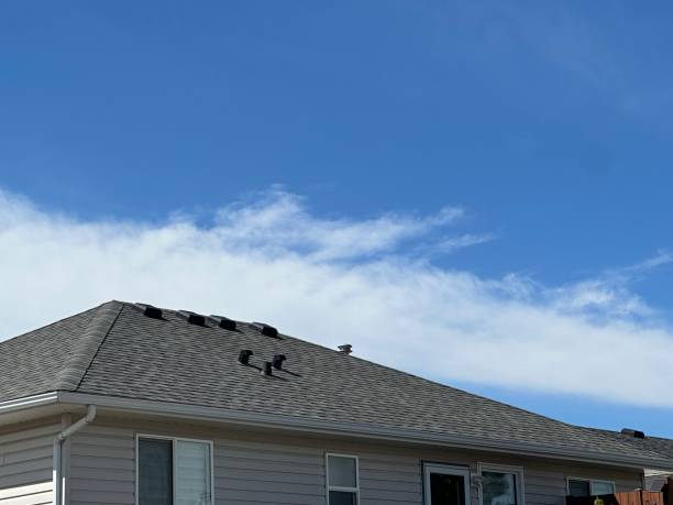 Best Rubber Roofing (EPDM, TPO)  in Grass Lake, MI